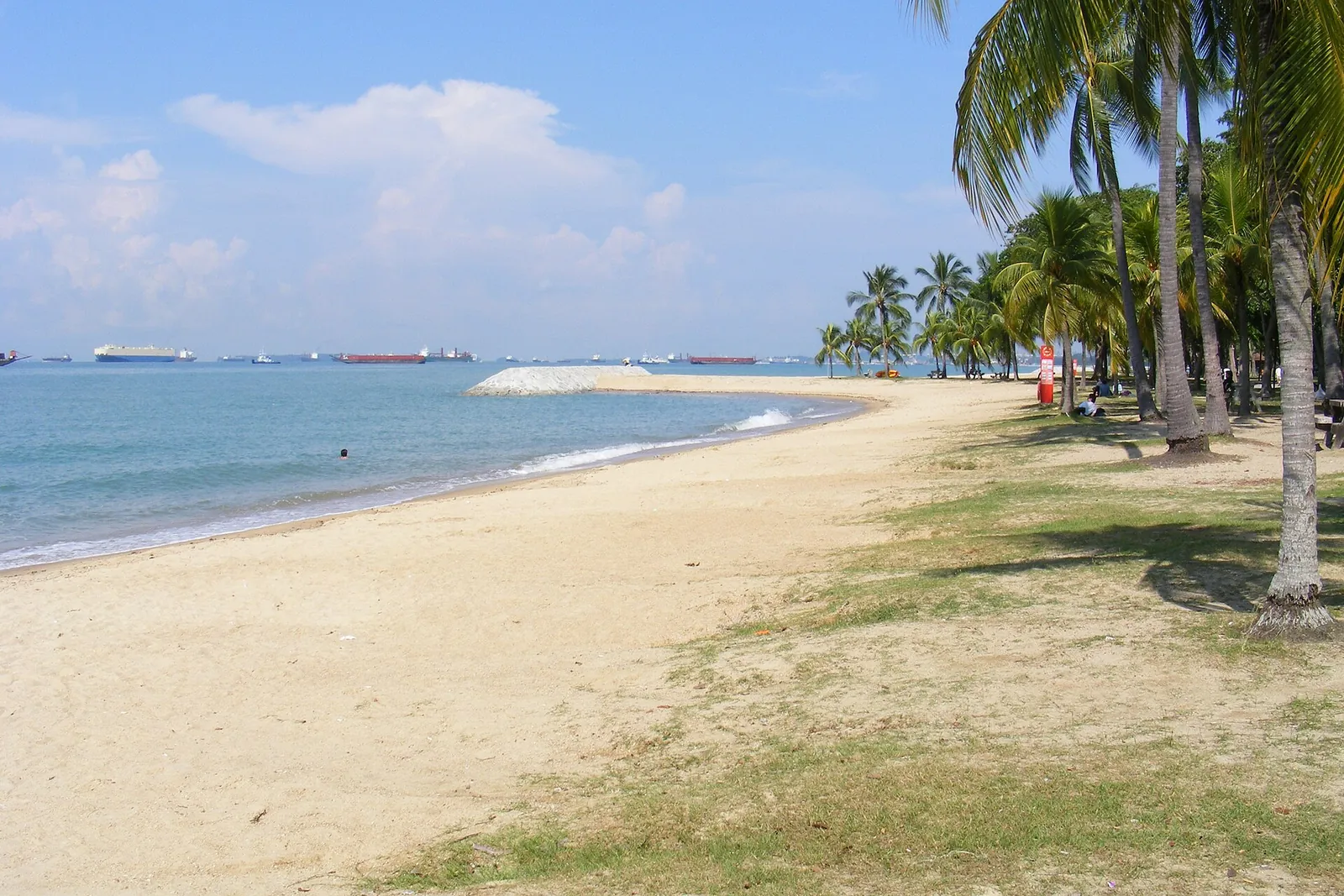 Piaszczysta plaża i brzeg z palmami w East Coast Park w Singapurze