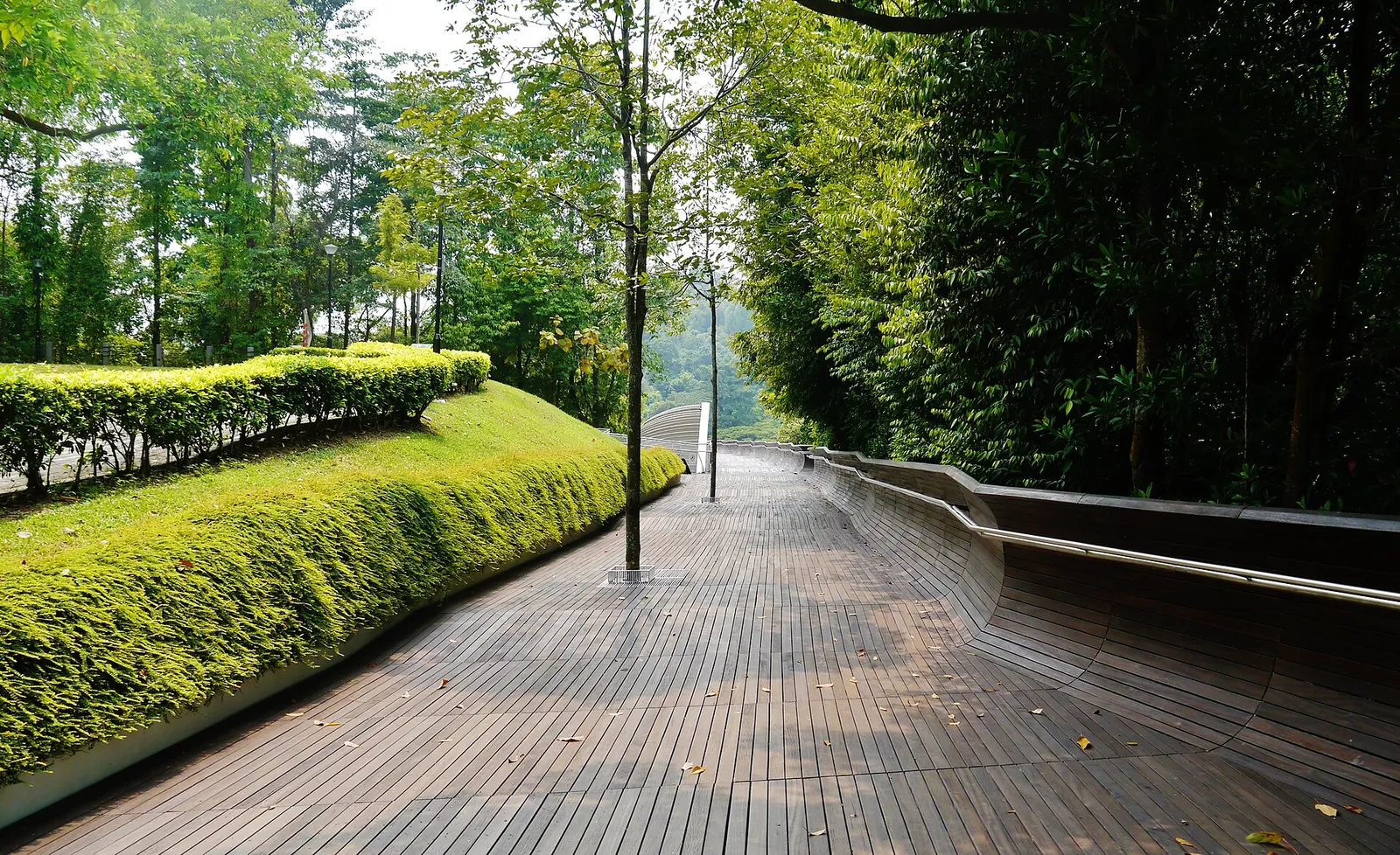 Drewniana ścieżka piesza i zieleń przy Henderson Waves w Southern Ridges