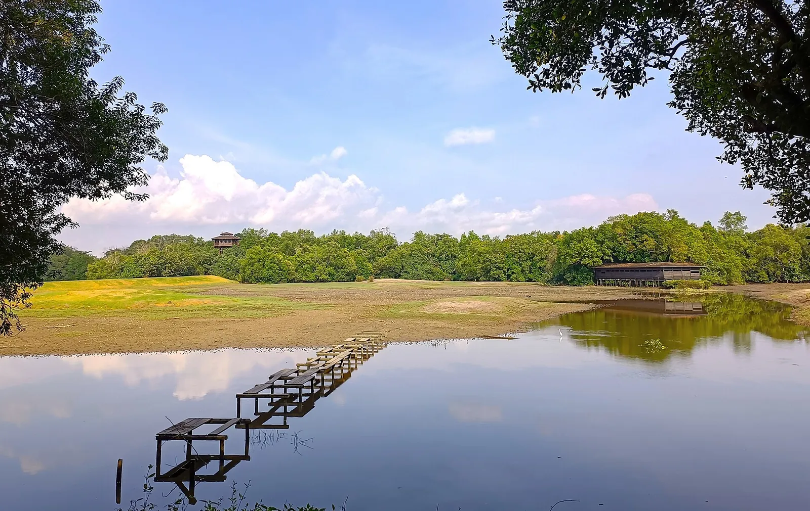 Woda mokradeł i drzewa namorzynowe w Sungei Buloh Wetland Reserve