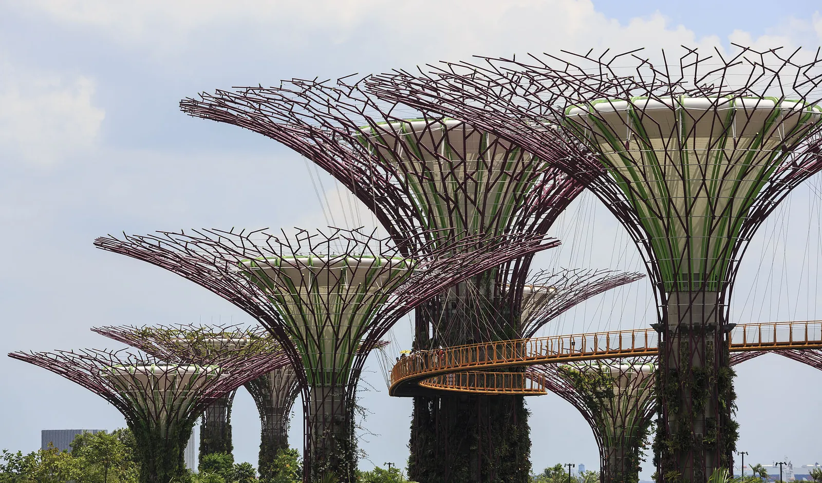 Supertrees and the elevated walkway at Gardens by the Bay