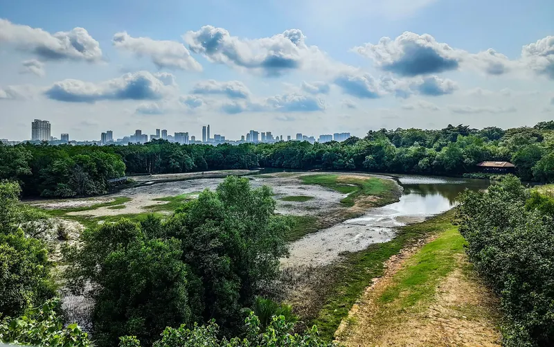Feuchtgebietskanal und Mangrovenlandschaft in Sungei Buloh
