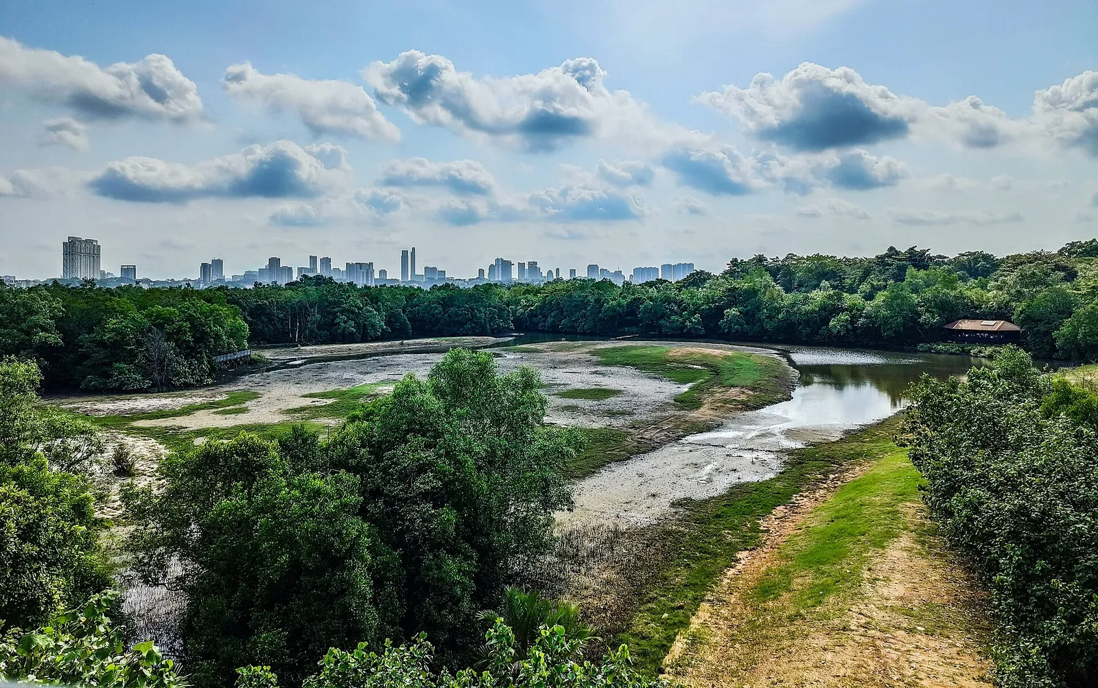 Vådområdekanal og mangrovelandskab ved Sungei Buloh