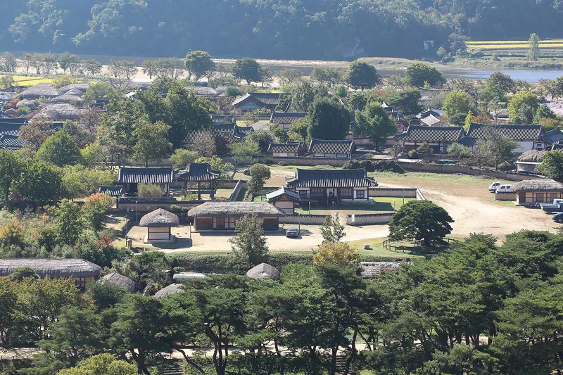 Tiled and thatched roofs of Hahoe Village among trees, seen from above with fields and hills beyond