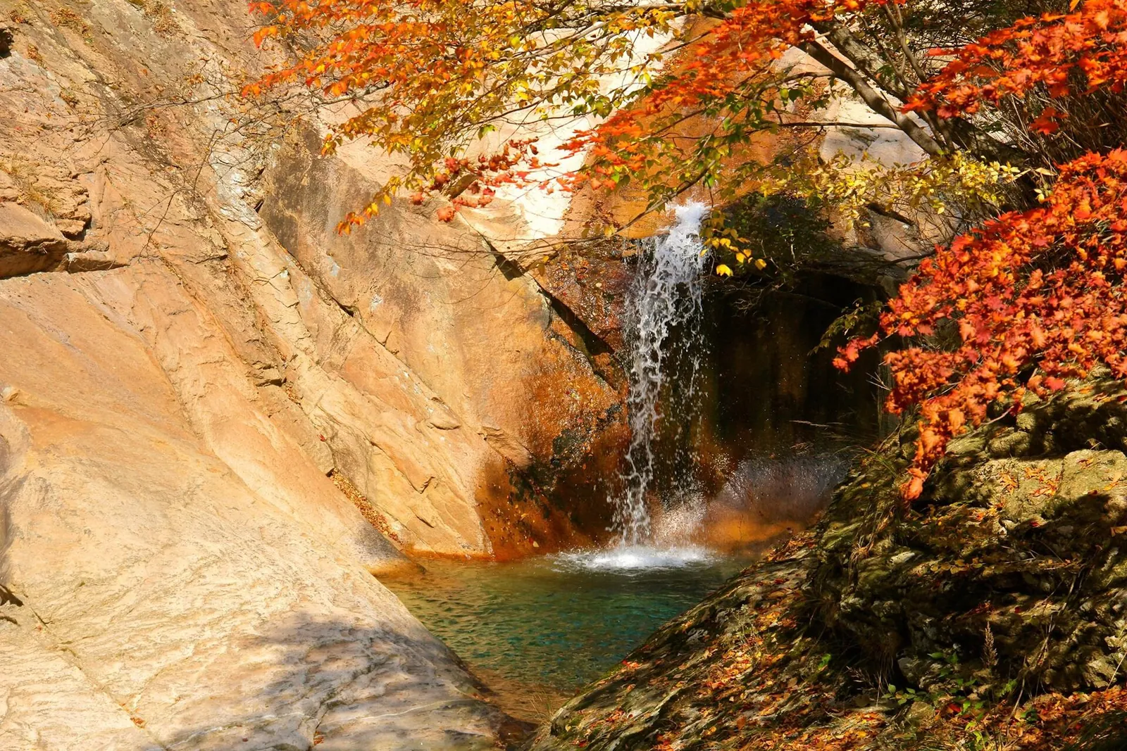 A waterfall pouring into a green pool between orange rock and red maples at Seoraksan