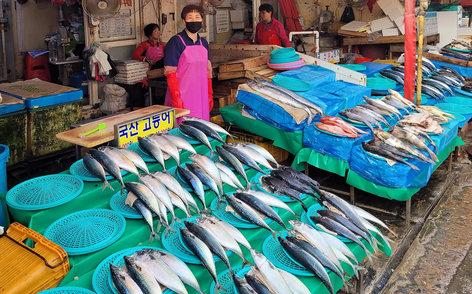 A Jagalchi Market fish stall with rows of mackerel laid out on turquoise baskets, a vendor in a pink apron standing behind