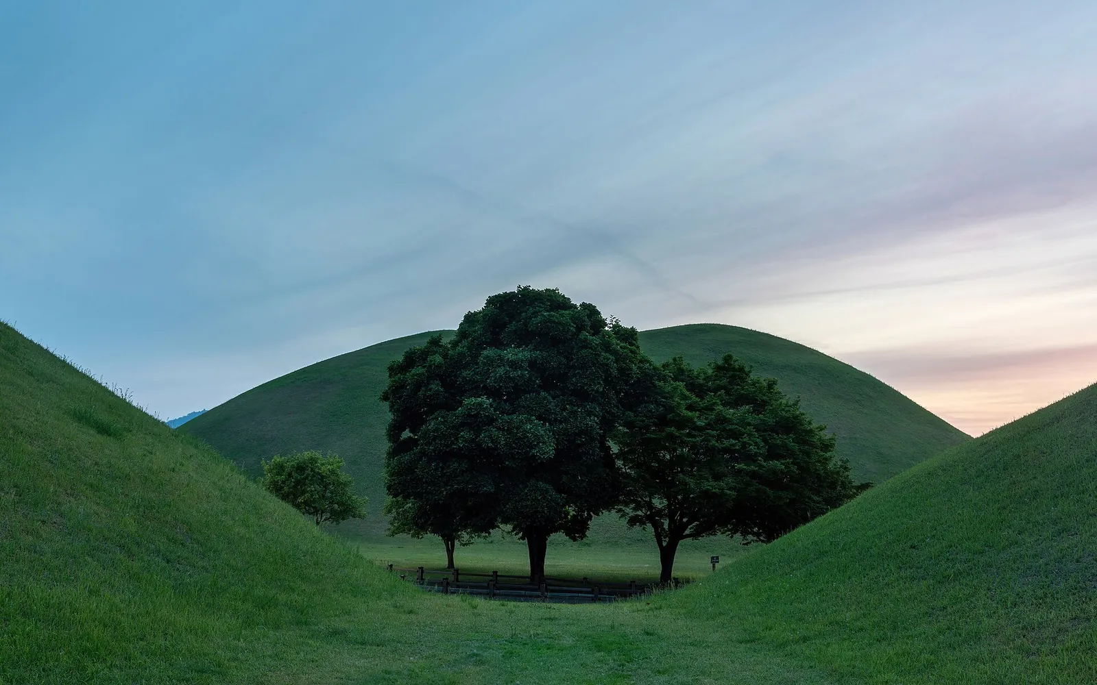 Grassy Silla burial mounds and a tree in Daereungwon Tomb Complex, Gyeongju, under an evening sky