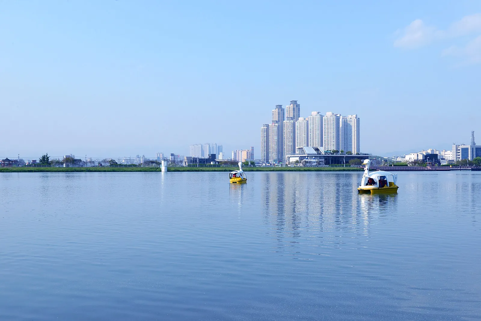 Suseongmot Lake in Daegu under a clear blue sky, with pedal boats on the water and apartment towers on the far shore