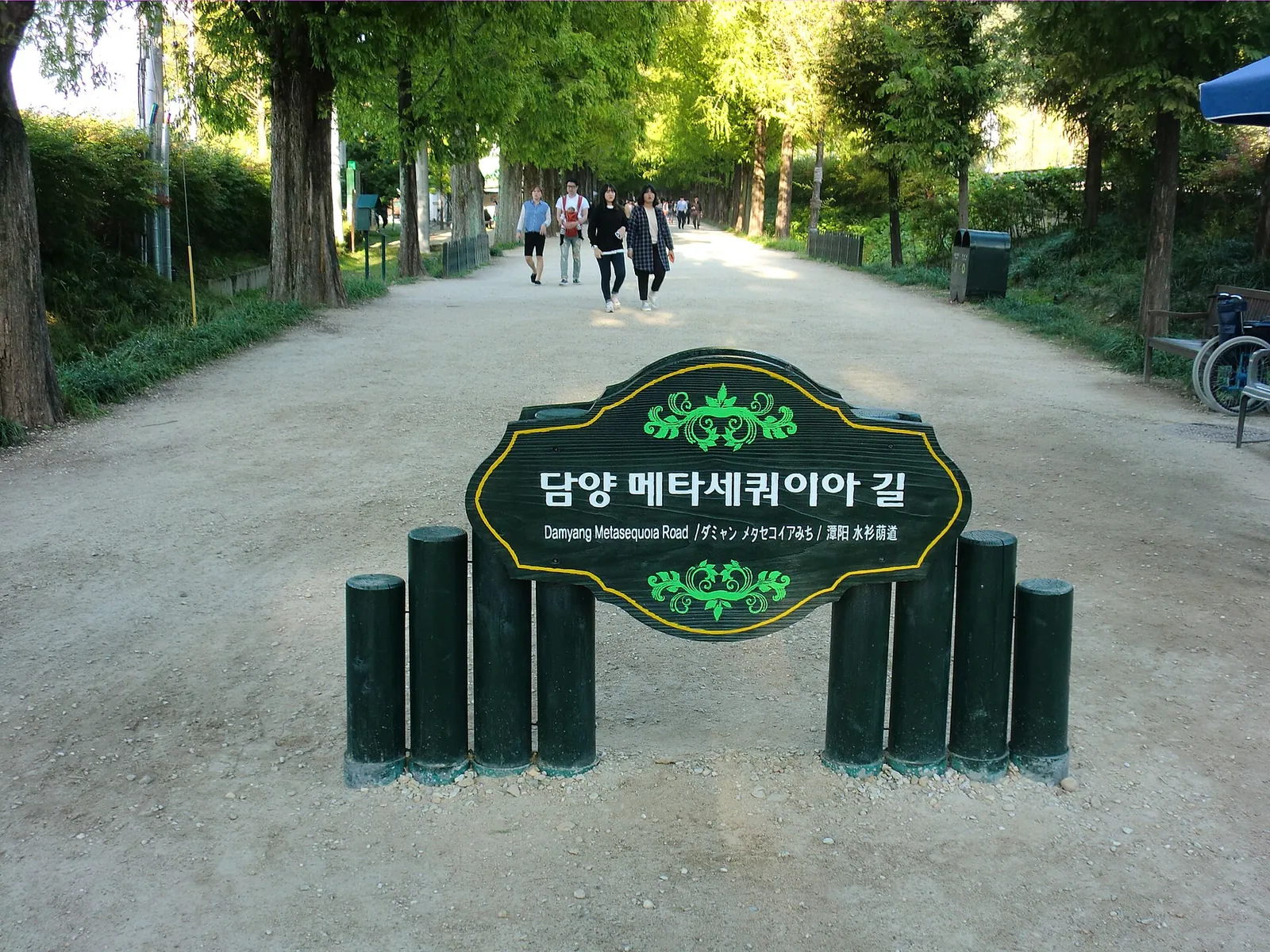 Visitors walking along the tree-lined Damyang Metasequoia Road behind a green and gold sign
