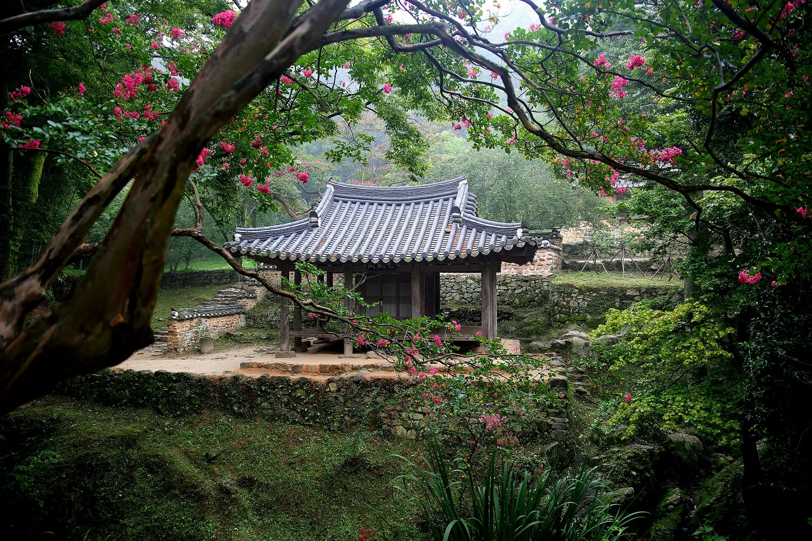 A small pavilion with a tiled roof among trees and pink crape myrtle at Soswaewon