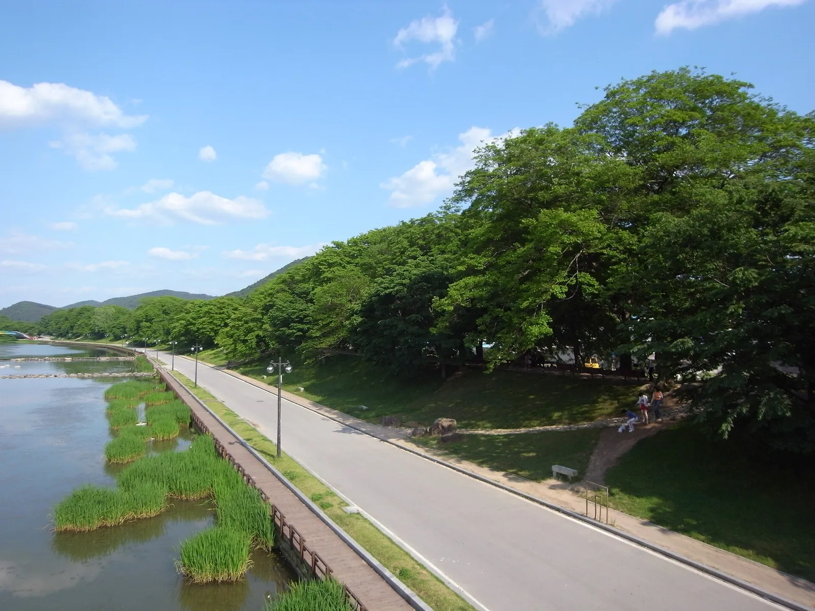 A riverside path along the Damyangcheon stream lined by the large old trees of Gwanbangjerim