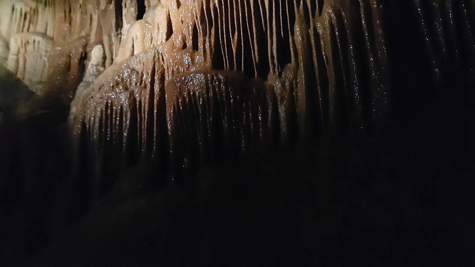 Stalactite curtains lit up inside Gosu Cave in Danyang