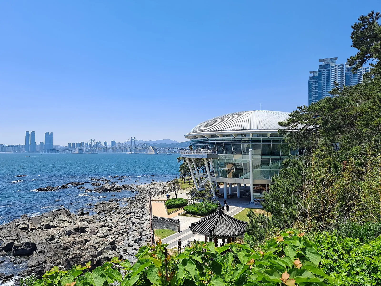 The rocky shore of Dongbaekseom in Busan, with a glass-walled domed building among the pines and a suspension bridge and city high-rises across the water