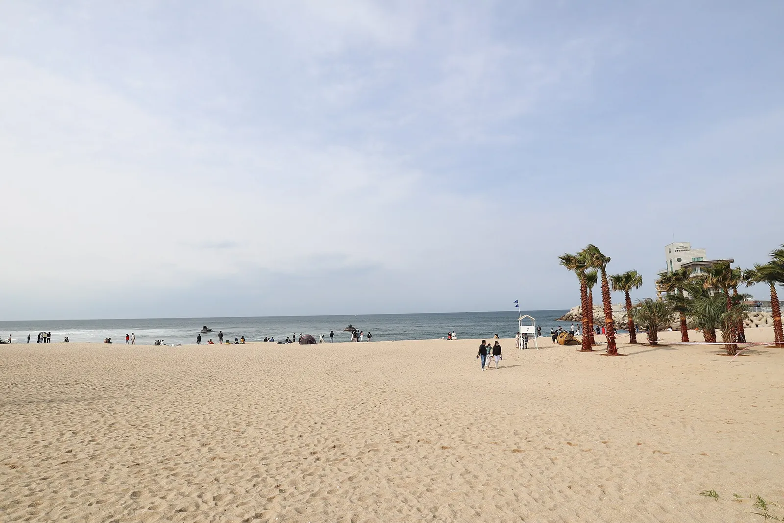 Wide sandy Anmok Beach under a pale sky, with palm trees and the beachfront in the distance