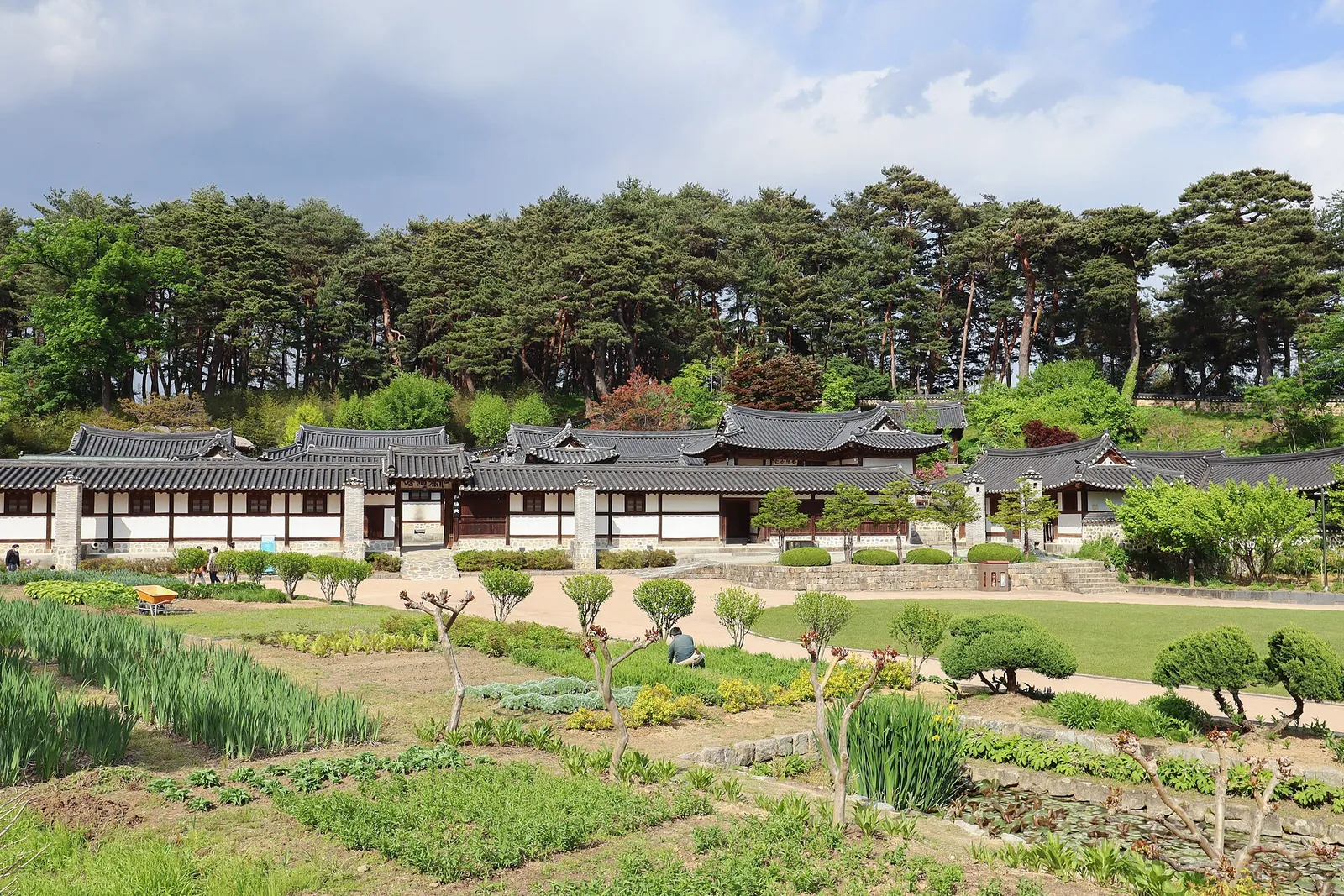Seongyojang's long tiled-roof hanok buildings behind a garden, with pine trees on the hill behind
