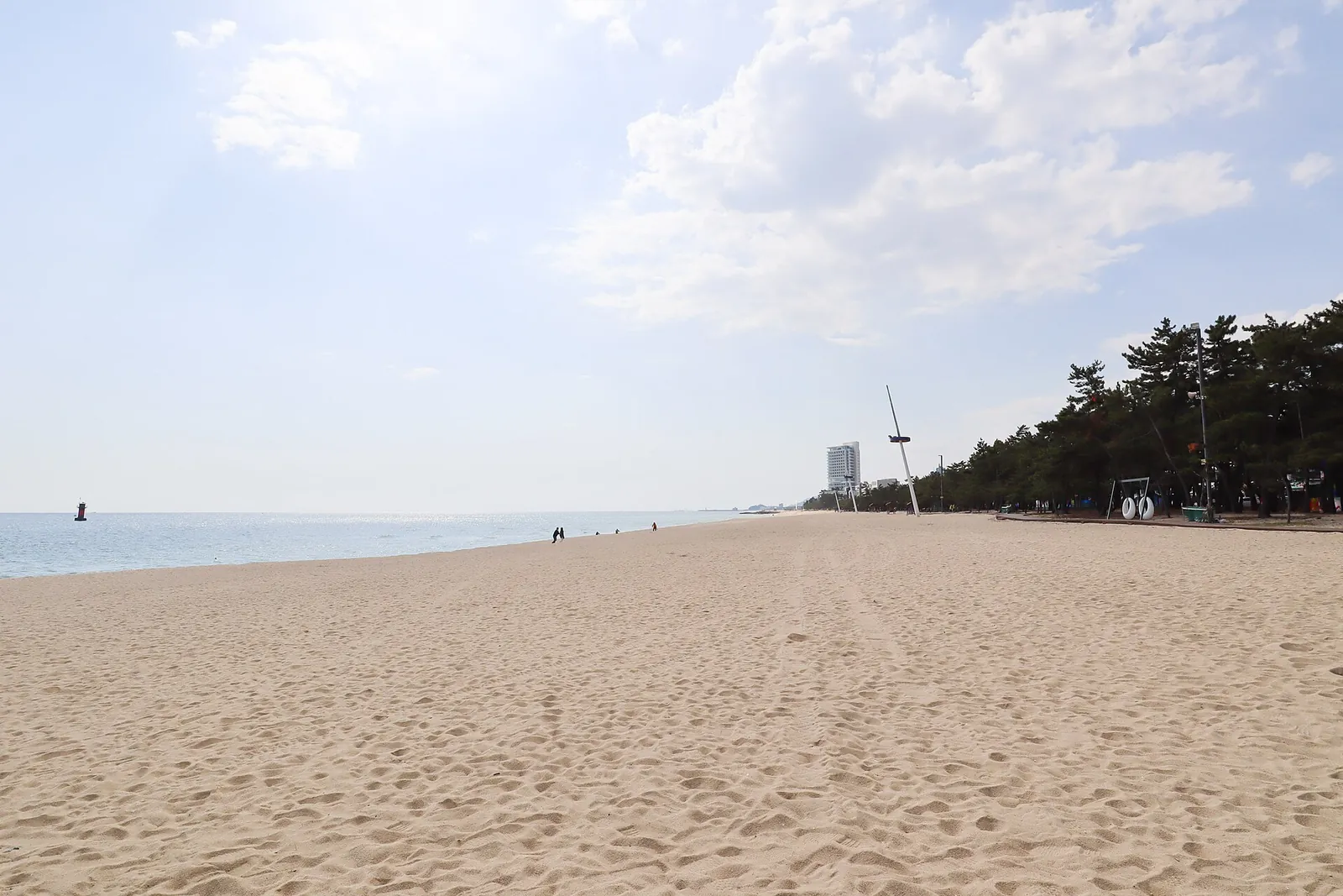 Wide, empty sand of Gyeongpo Beach in Gangneung with pine trees along the back of the beach
