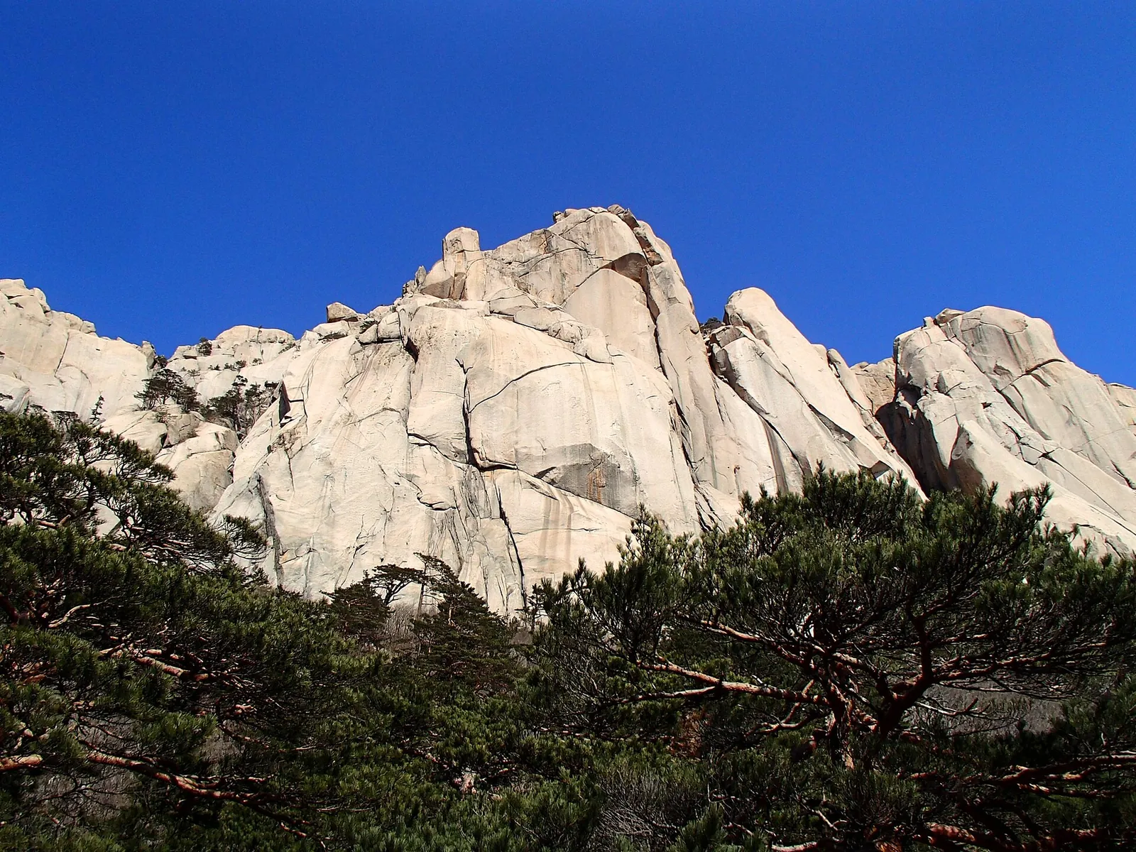 Pale granite peaks of Ulsanbawi rising above green pine forest under a blue sky in Seoraksan National Park
