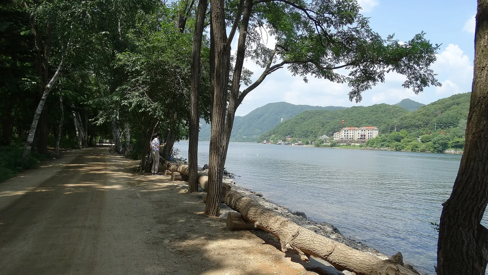 Tree-lined dirt path along the Bukhangang River on Nami Island under a blue sky