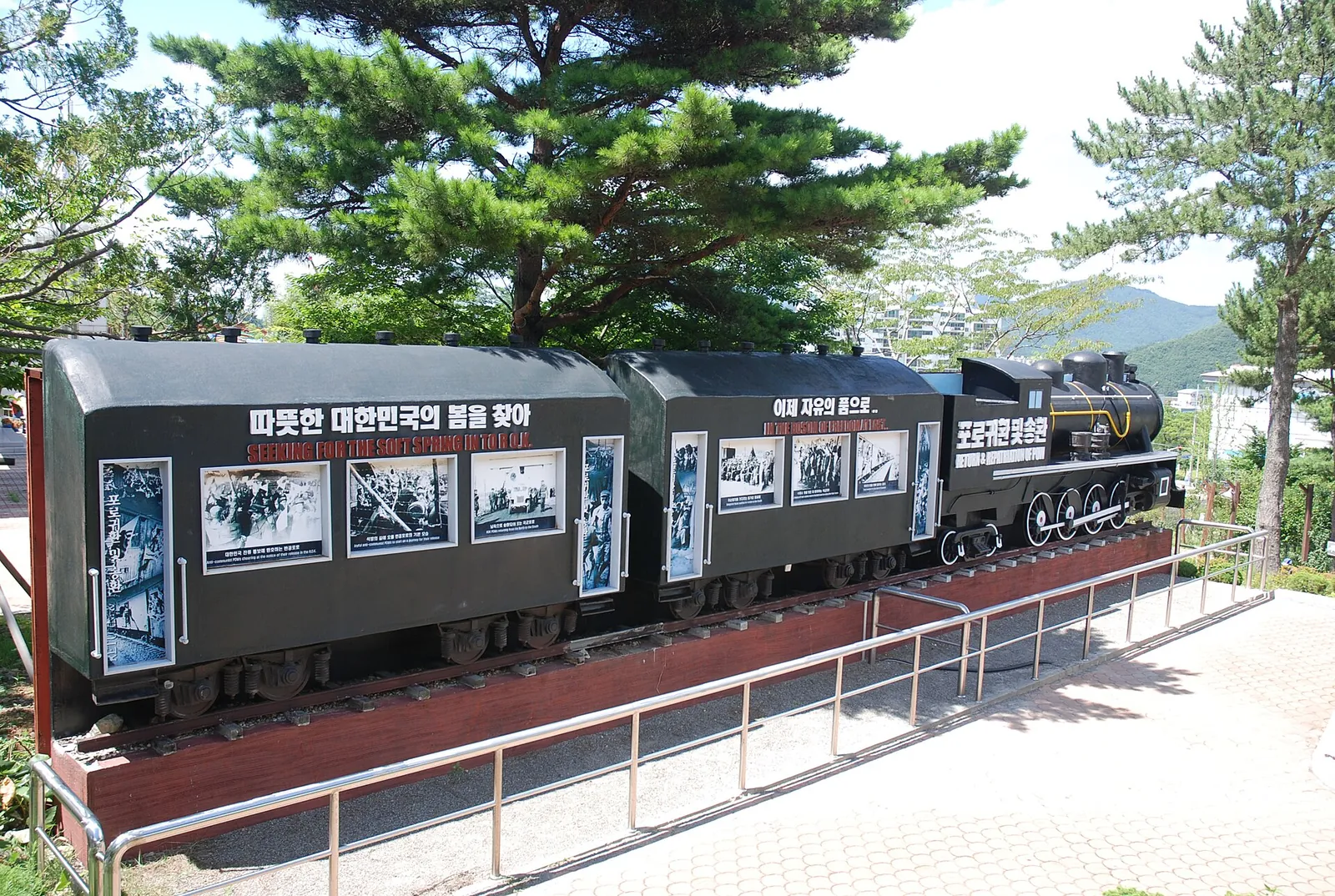 A black steam locomotive and carriages with photo panels displayed under pine trees