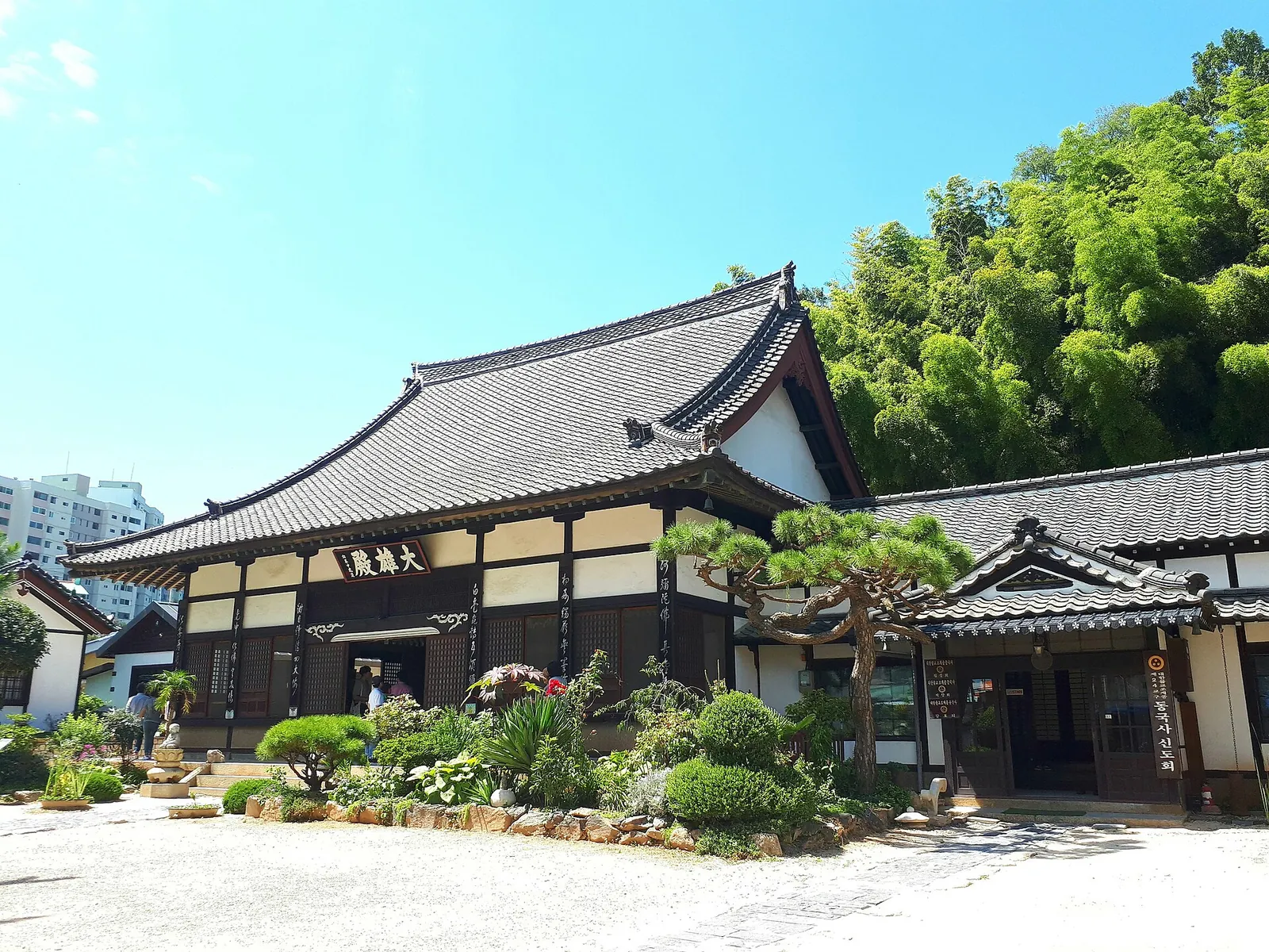 Plain Japanese-style temple hall with a dark tiled roof and white walls, with trimmed pine trees in front