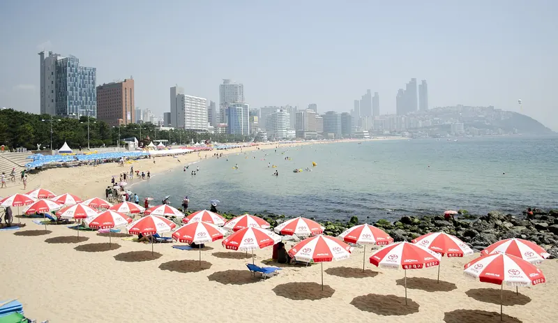 Haeundae Beach with rows of red and white parasols on the sand and high-rise towers along the bay