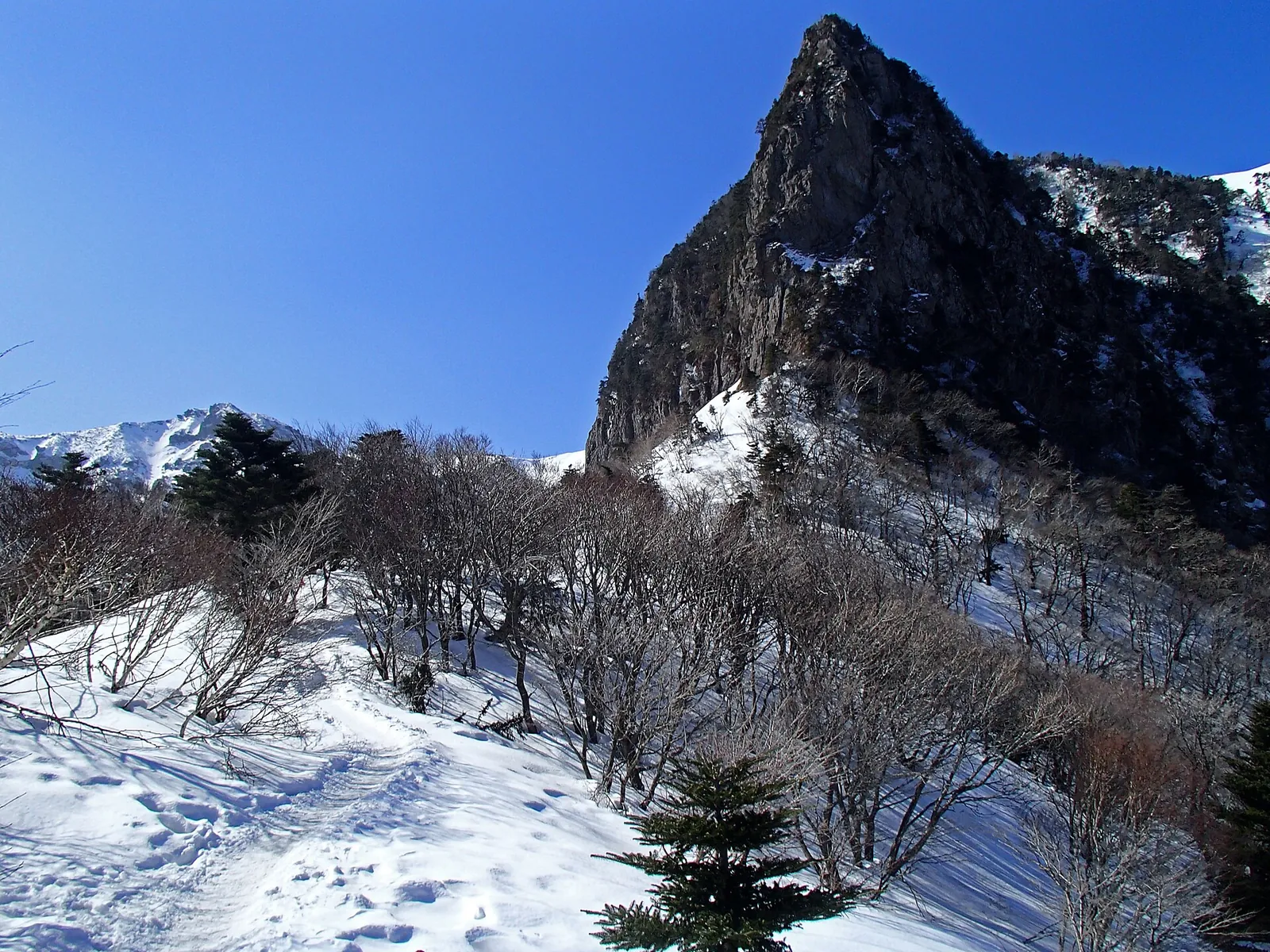 Snow-covered slopes and a rocky peak on a Hallasan National Park trail under a blue sky