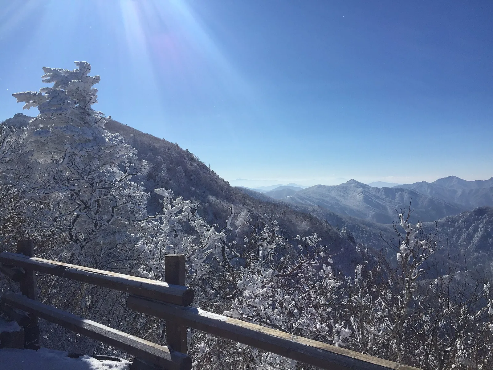 Trees coated in rime ice beside a wooden railing on Deogyusan in winter
