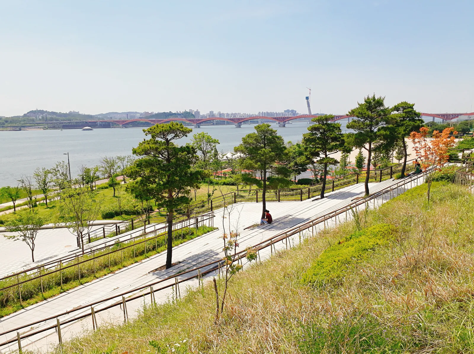 Lawns, pine trees and a riverside path at Mangwon Hangang Park with the Han River beyond