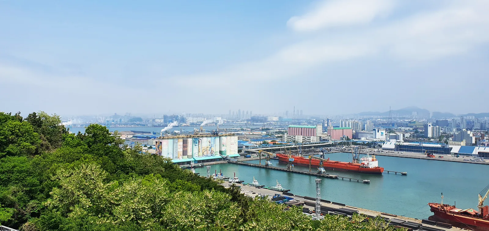Incheon's inner port with cargo ships and the city beyond, seen from the green slopes of Wolmisan