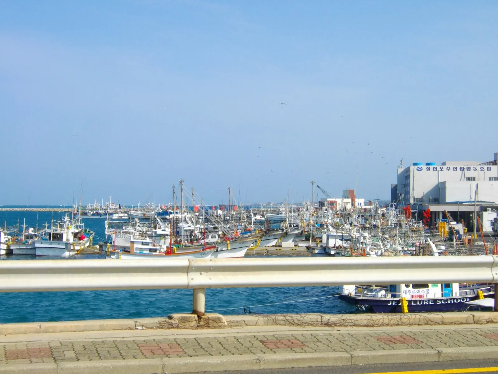 Fishing boats moored in Seongsan Harbor on Jeju's east coast