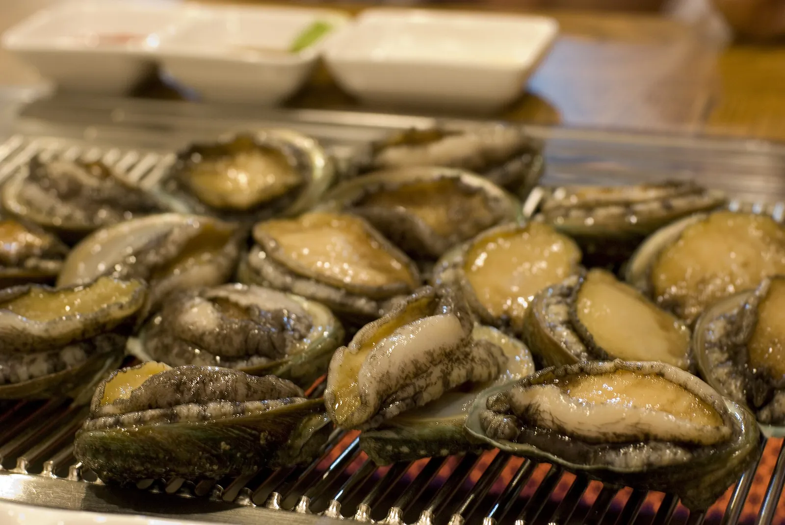 Abalone grilling in their shells