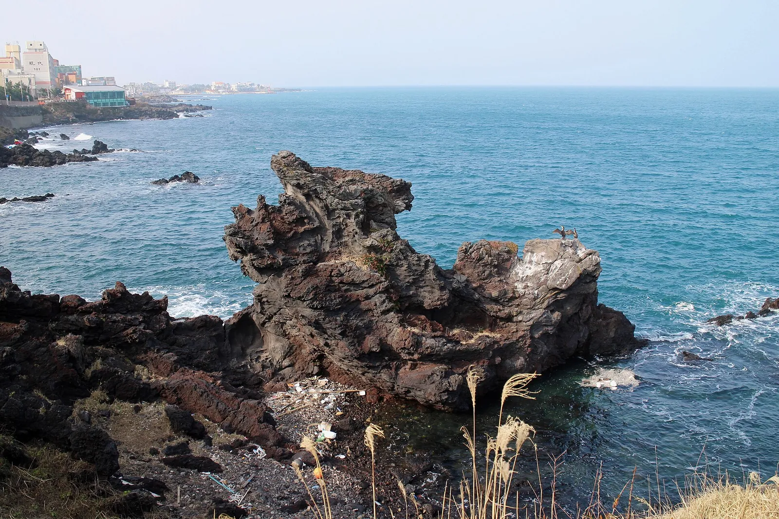 Yongduam Rock, a dark basalt boulder shaped like a dragon's head, standing in blue sea off Jeju City's rocky shore