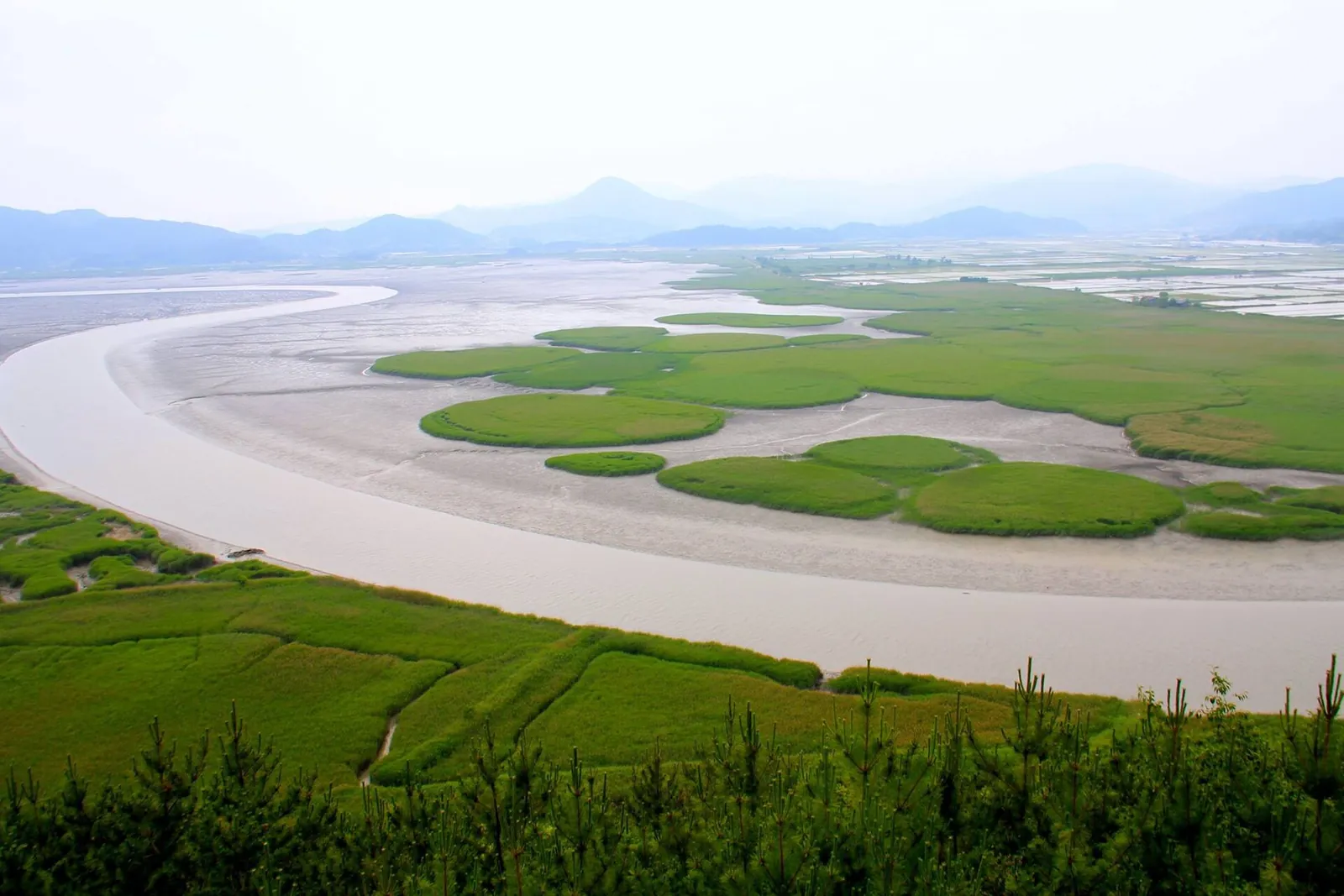 Suncheon Bay seen from above: a winding tidal channel, mudflats and round patches of reeds, with hills on the horizon