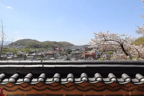 A tiled wall in the foreground with the roofs of Jeonju Hanok Village below, cherry blossom on the right and a blue sky