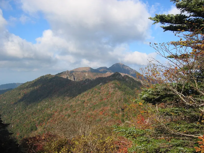 Autumn-coloured ridges of Jirisan rising to a rocky summit under a blue sky, with a pine branch in the foreground
