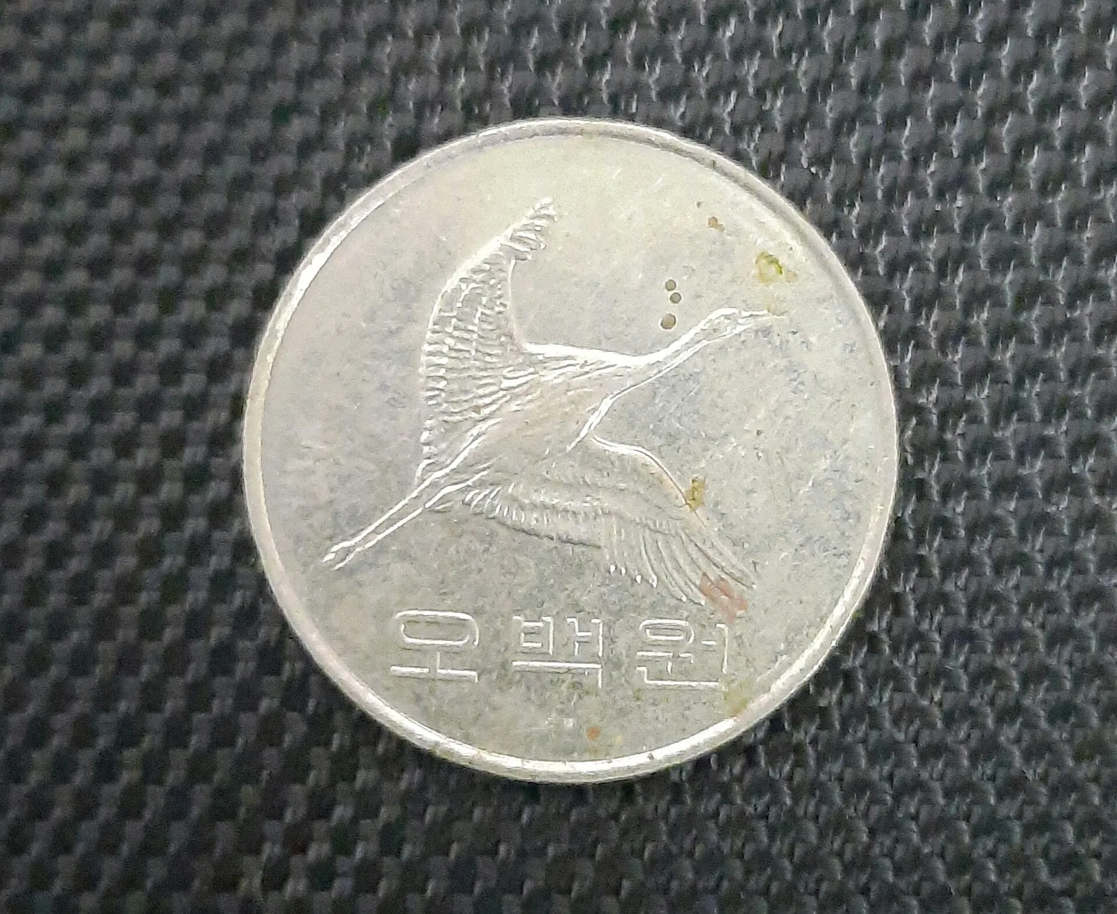 Close-up of a South Korean 500 won coin showing a flying crane and the words obaegwon