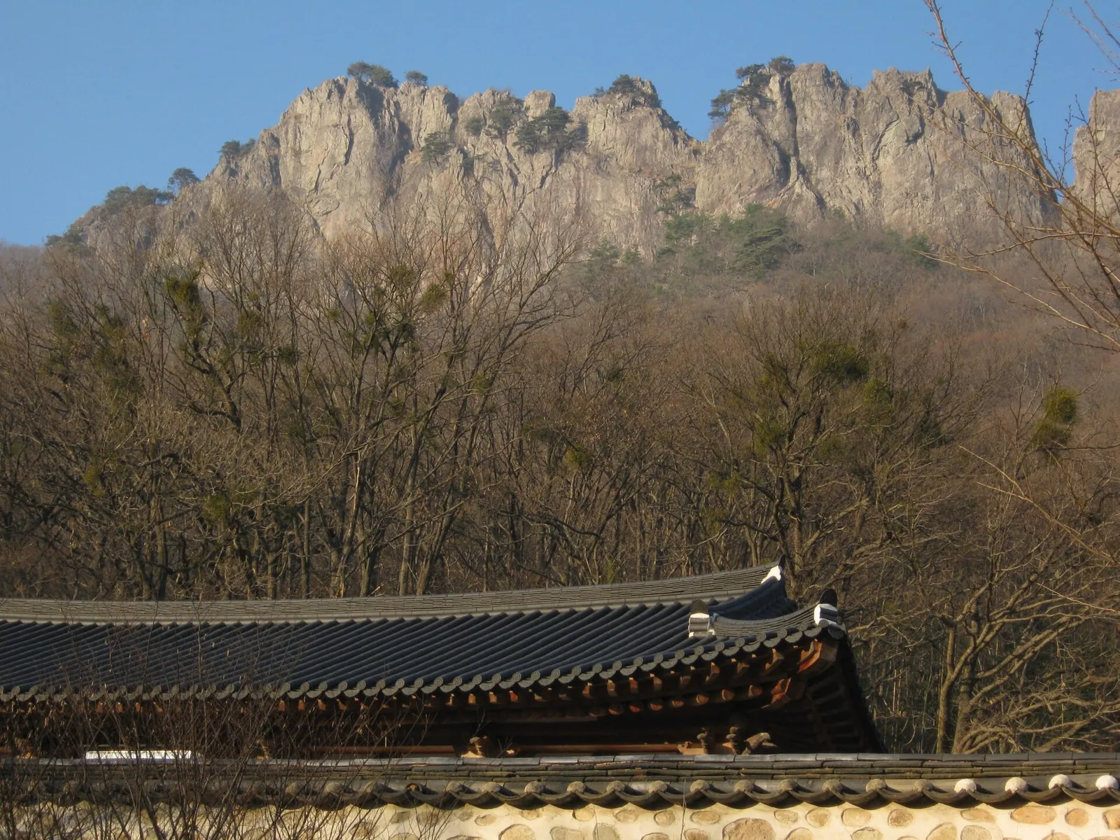Grey cliffs of the Naejangsan ridge rising above bare trees and a traditional tiled roof