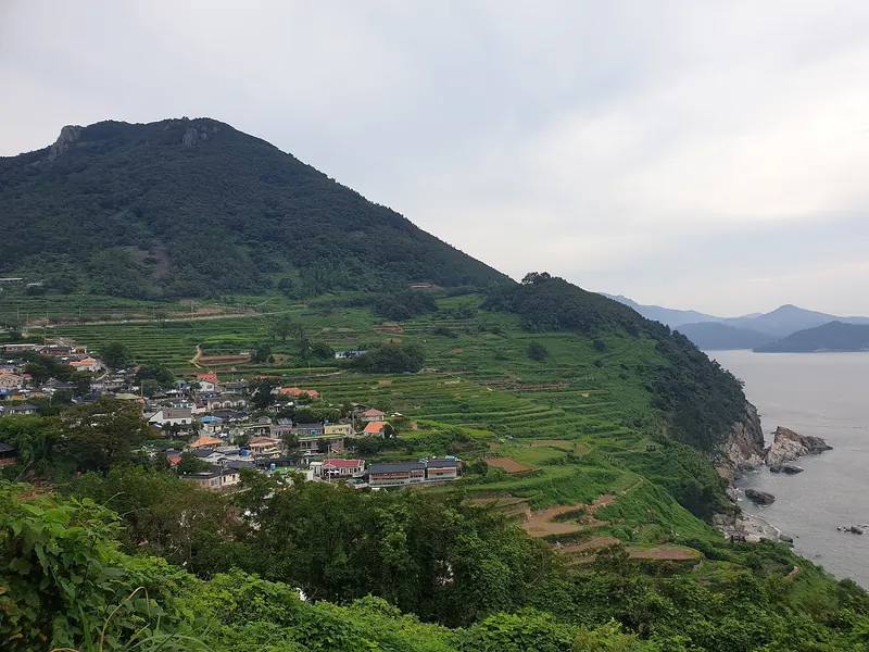 Terraced fields of Gacheon Daraengi Village stepping down a green hillside to the sea in Namhae