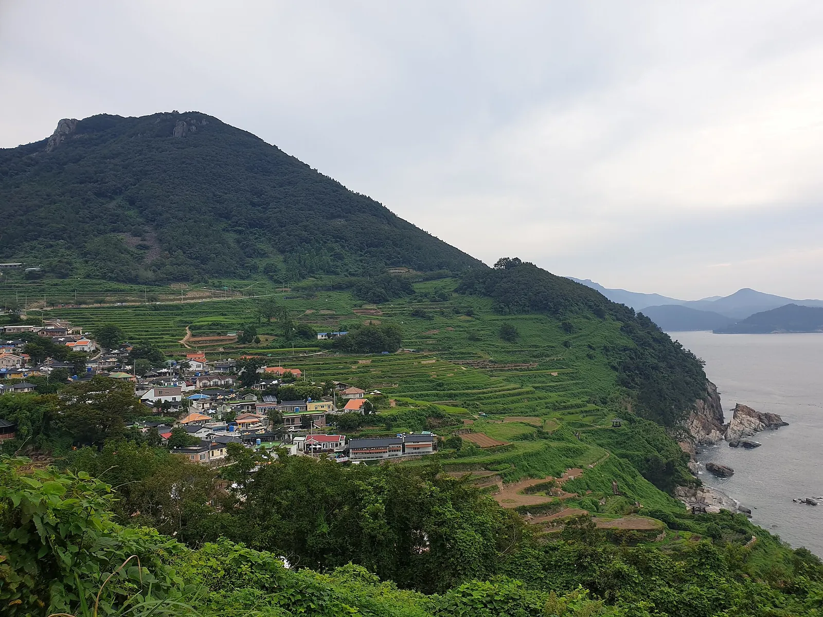 Terraced fields of Gacheon Daraengi Village stepping down a green hillside to the sea in Namhae