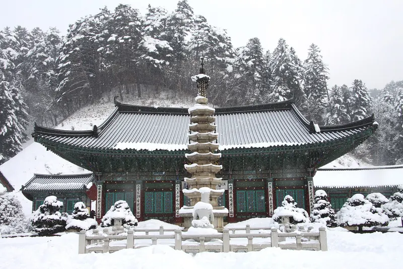Woljeongsa temple hall and its octagonal nine-storey stone pagoda under fresh snow, with snow-laden conifers behind