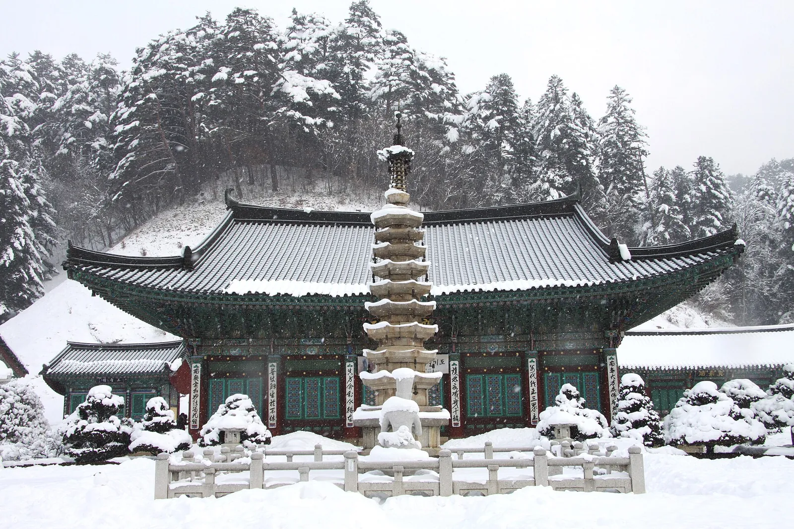 Woljeongsa temple hall and its octagonal nine-storey stone pagoda under fresh snow, with snow-laden conifers behind