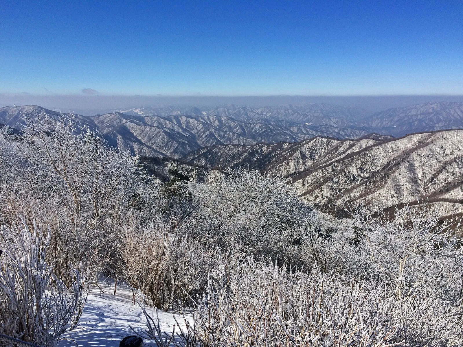 Frost-covered ridges and forest seen from Birobong peak in Odaesan National Park under a clear blue sky