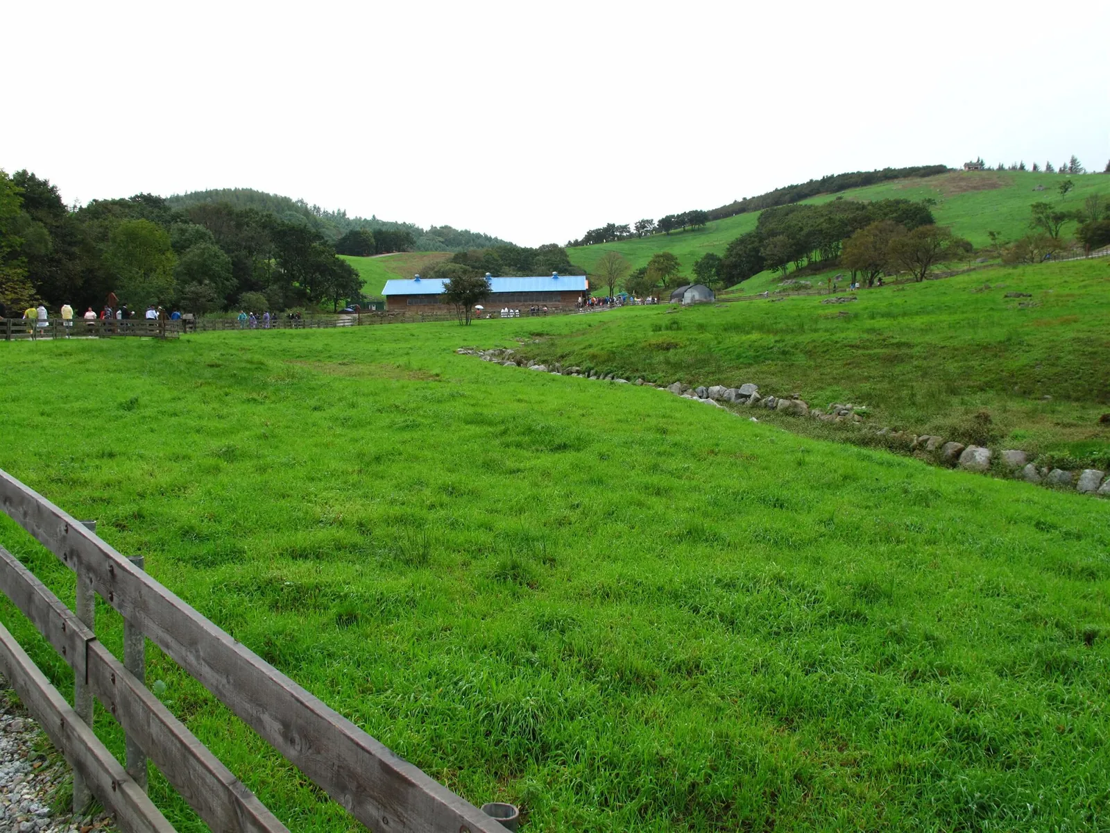 Green pasture with a wooden fence and farm buildings on a hillside at a Daegwallyeong sheep farm