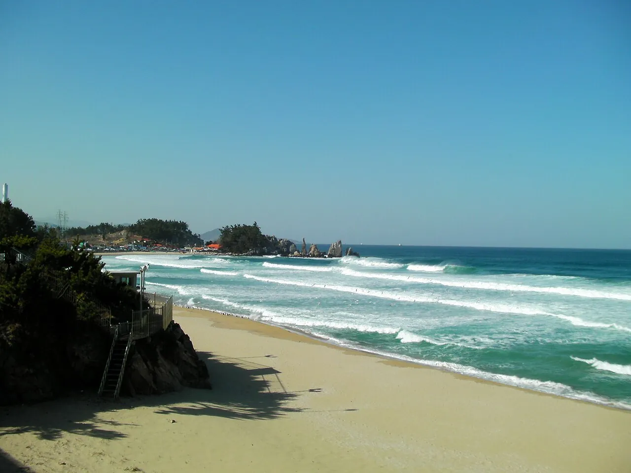 Waves breaking on the curved sand of Samcheok Beach under a clear blue sky, with pine-covered rocks on the left