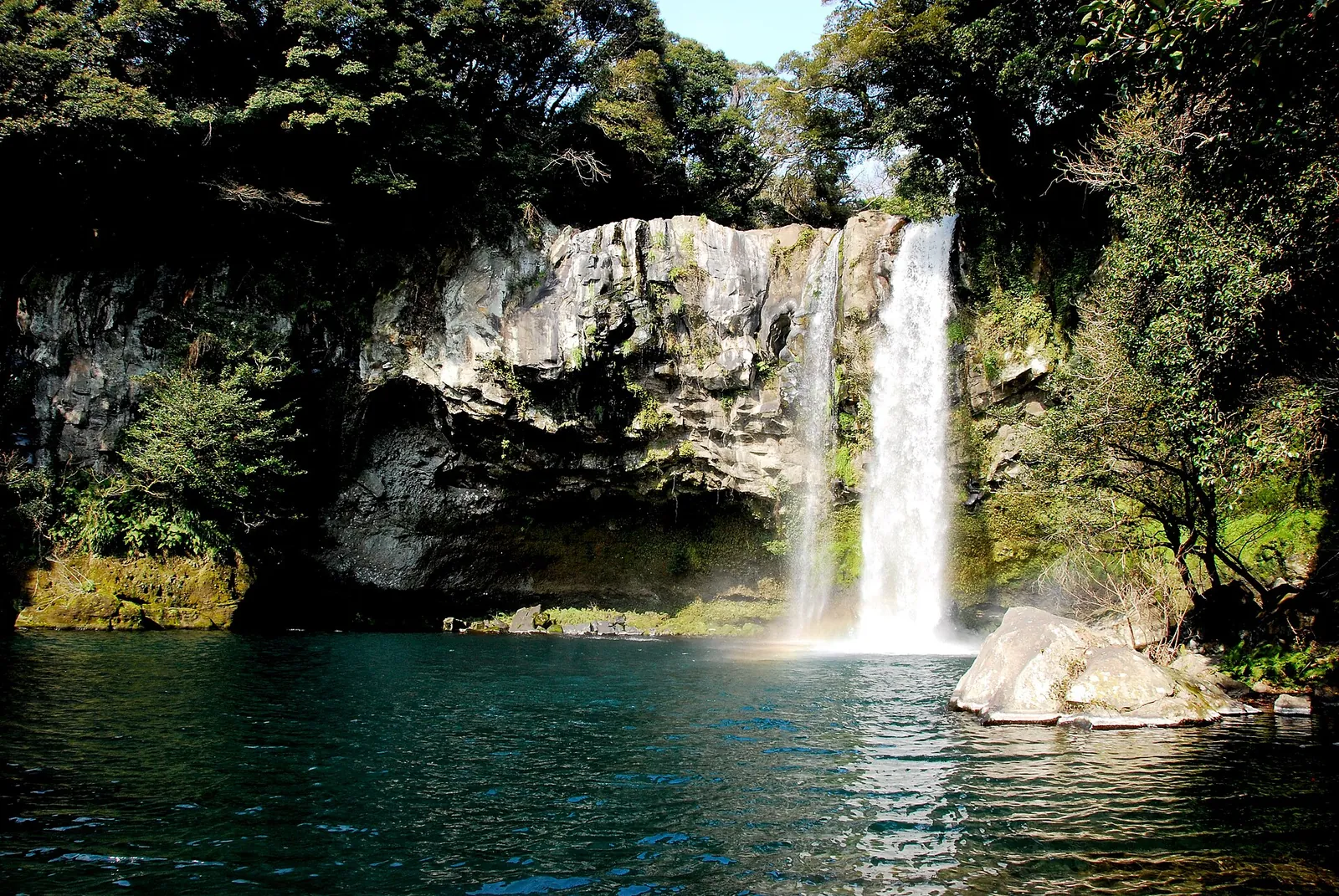 Cheonjiyeon Falls dropping over a dark cliff into a green pool, surrounded by forest