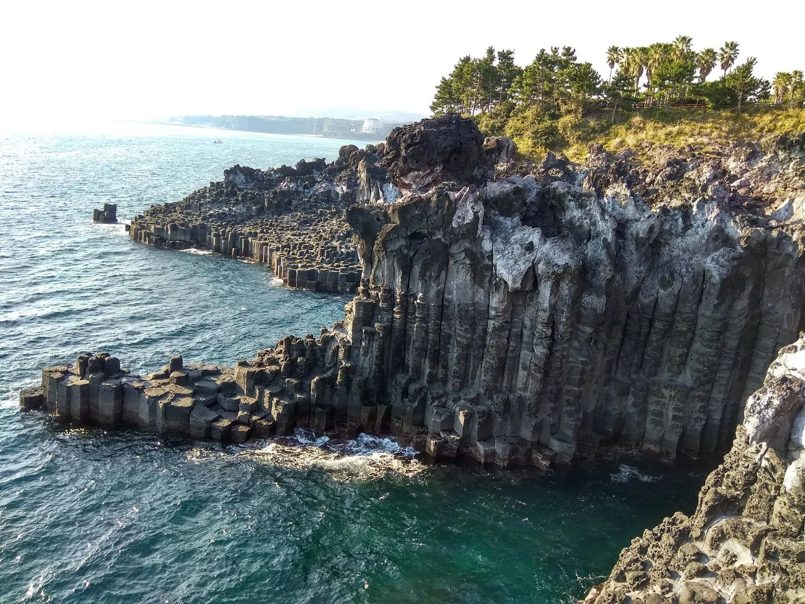 Tall hexagonal basalt columns stepping down into blue-green sea under a pine-covered headland