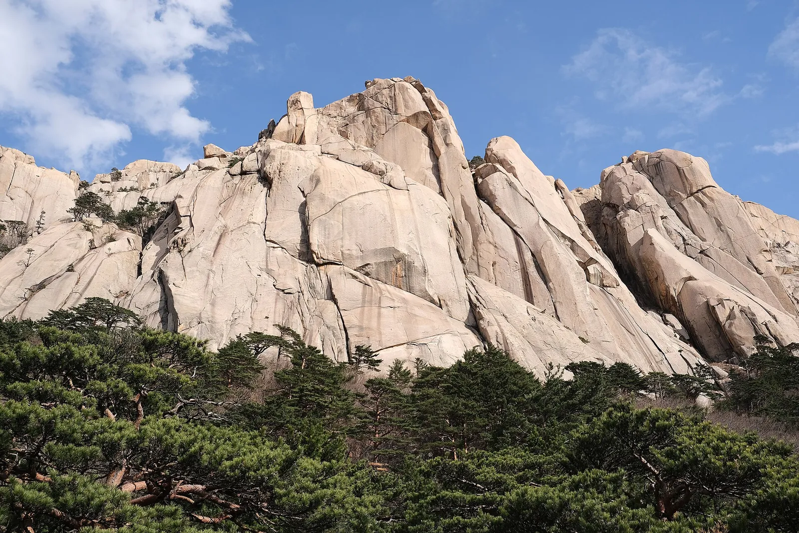 Pale granite towers of Ulsanbawi above pine forest under a blue sky in Seoraksan National Park