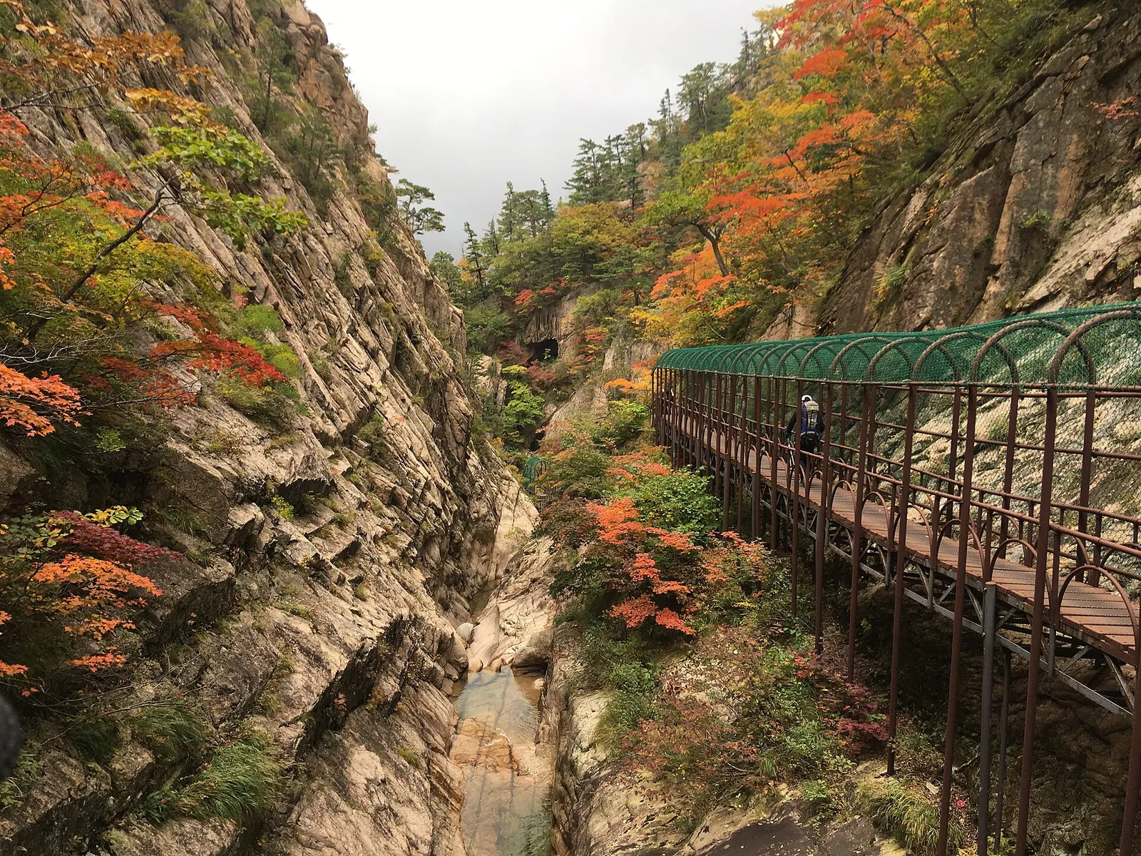 A covered walkway with green arches along a cliff in a narrow Seoraksan gorge, framed by red and orange autumn leaves