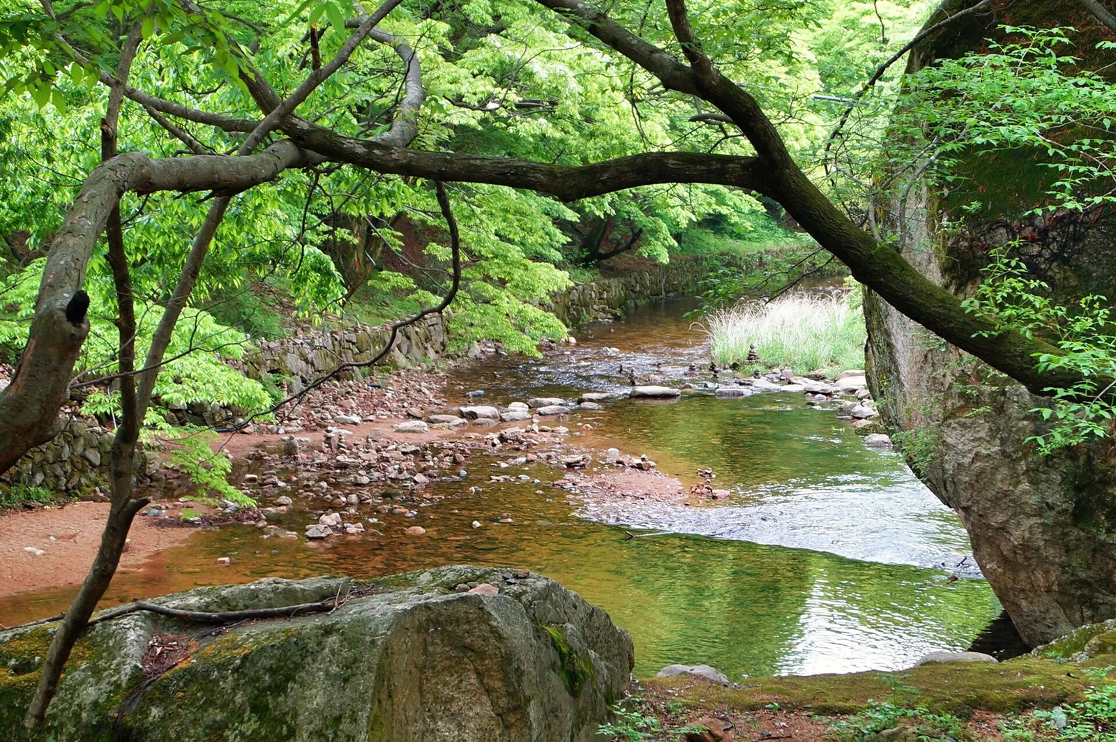 A clear stream with rocks under green trees in a valley of Songnisan National Park