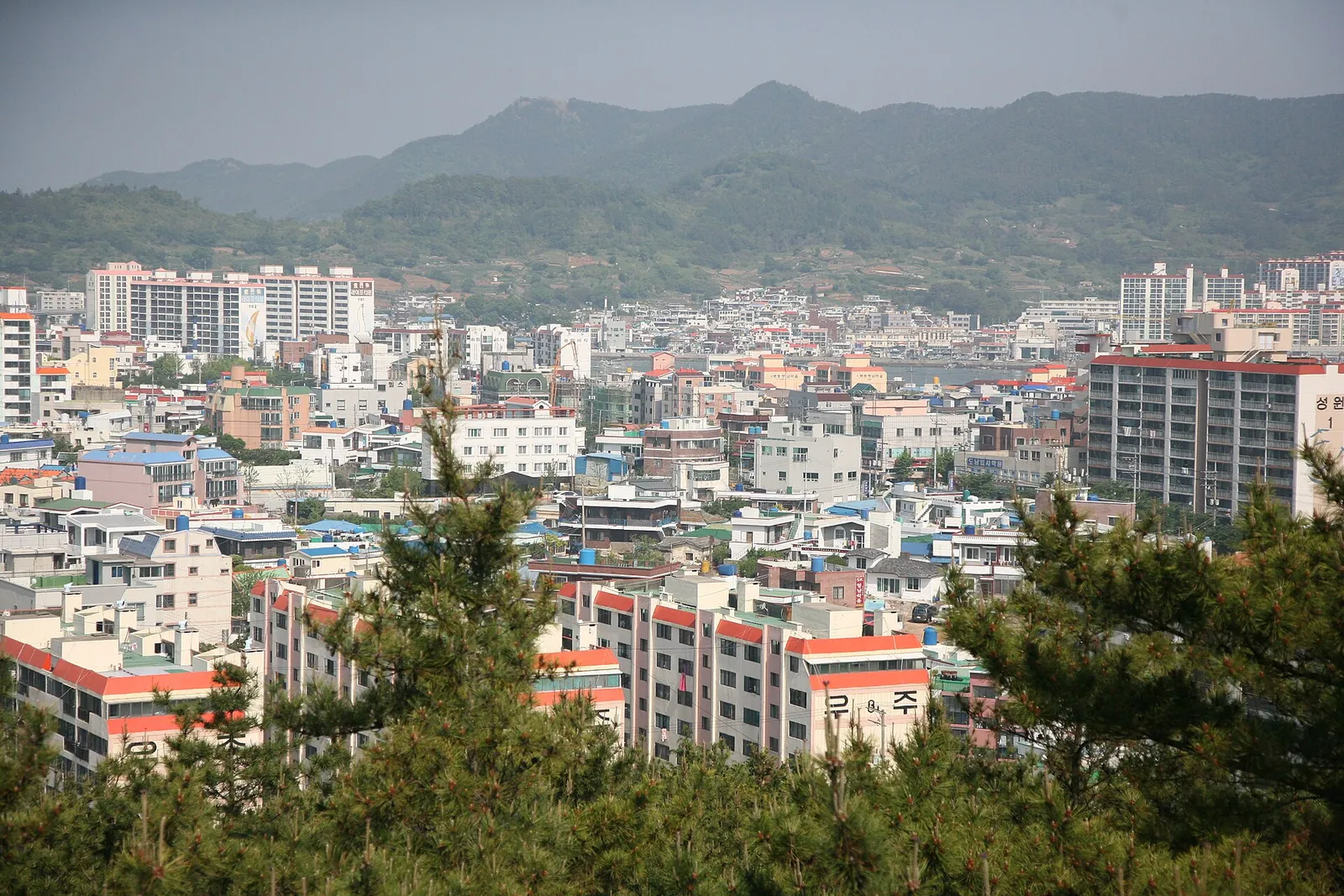 Rooftops of Tongyeong spread below green hills, seen from an observation point