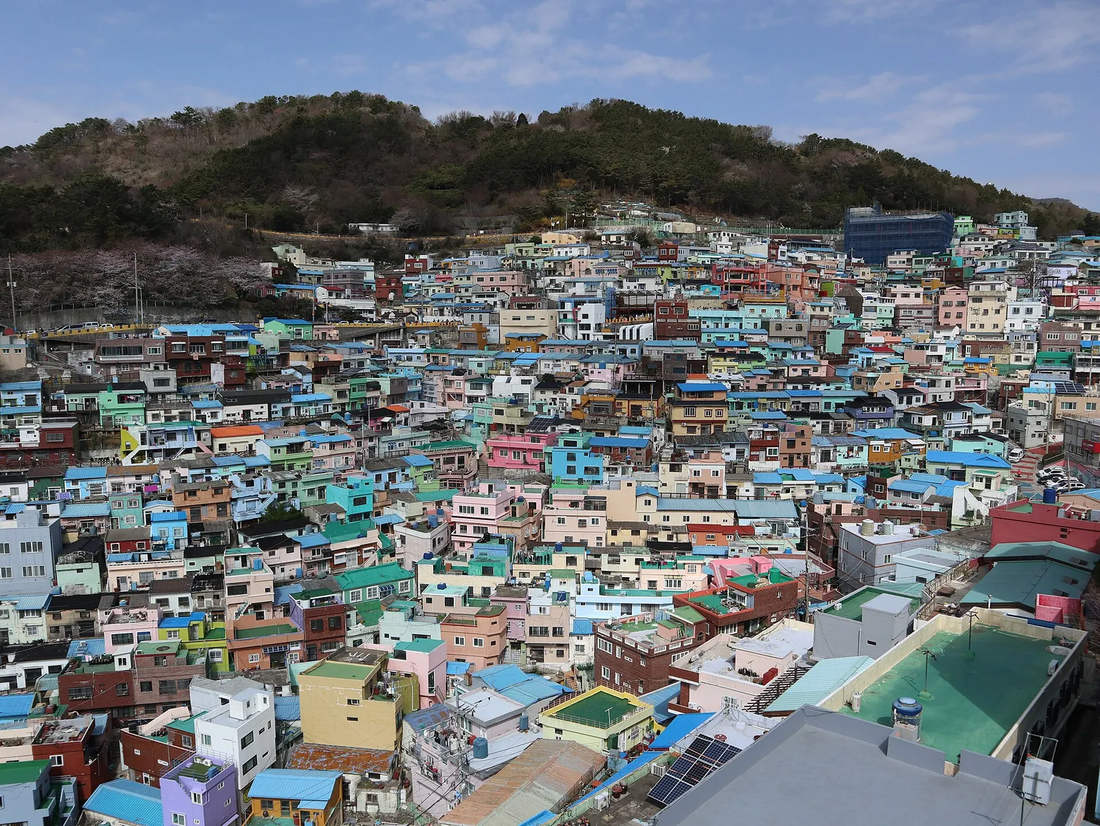 Pastel houses stacked on the hillside of Gamcheon Culture Village